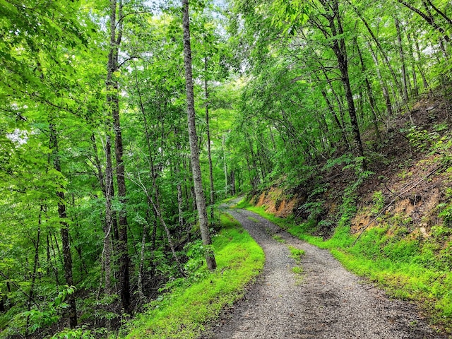 718 Mullins Dr, Sneedville, TN 37869 - view of road with a view of trees
