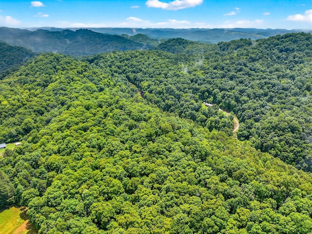 718 Mullins Dr, Sneedville, TN 37869 - drone / aerial view of a forest and mountains