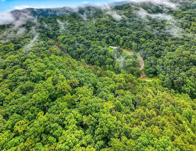 718 Mullins Dr, Sneedville, TN 37869 - bird's eye view of a forest
