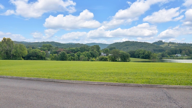 LOT4 Bluewater Way, Bean Station, TN 37708