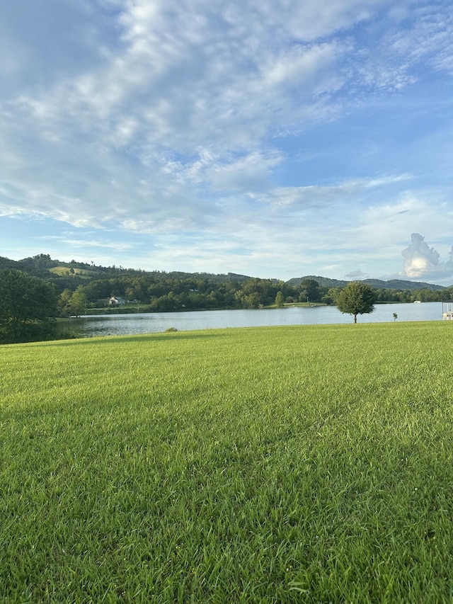 LOT4 Bluewater Way, Bean Station, TN 37708