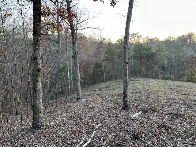 Listing photo 2 for LOT1 Dandelion Dr, Newport TN 37821