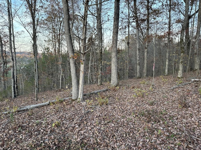 Listing photo 3 for LOT1 Dandelion Dr, Newport TN 37821