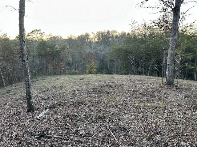 LOT1 Dandelion Dr, Newport TN, 37821 land for sale