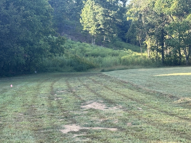 LOT1 Dandelion Dr, Newport, TN 37821 - photo 8