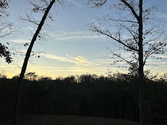 LOT1 Dandelion Dr, Newport, TN 37821 - photo 4