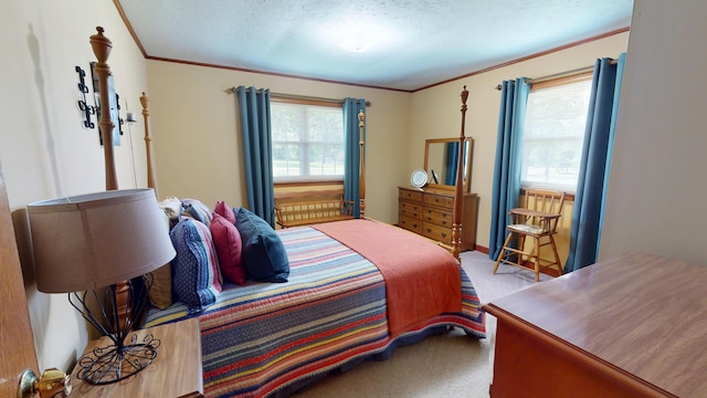 1015 Pratt Dr, White Pine, TN 37890 - photo 19