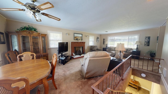 1015 Pratt Dr, White Pine, TN 37890 - photo 12
