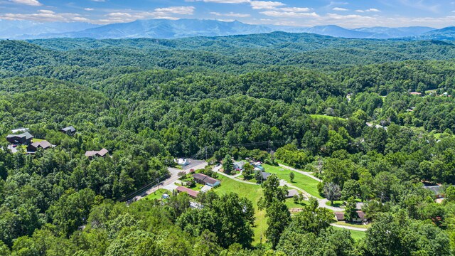 1430 Am King Way, Sevierville, TN 37876 - photo 28
