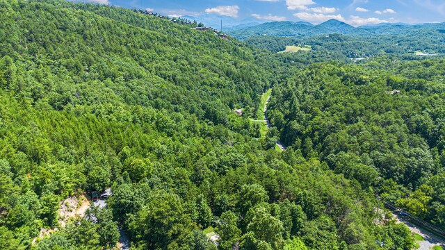 1430 Am King Way, Sevierville, TN 37876 - photo 25