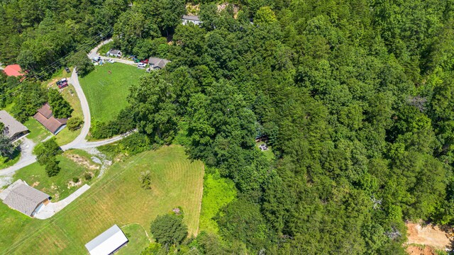 1430 Am King Way, Sevierville, TN 37876 - photo 30