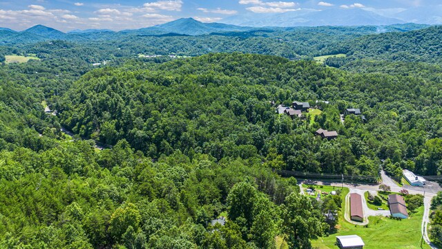 1430 Am King Way, Sevierville, TN 37876 - photo 26