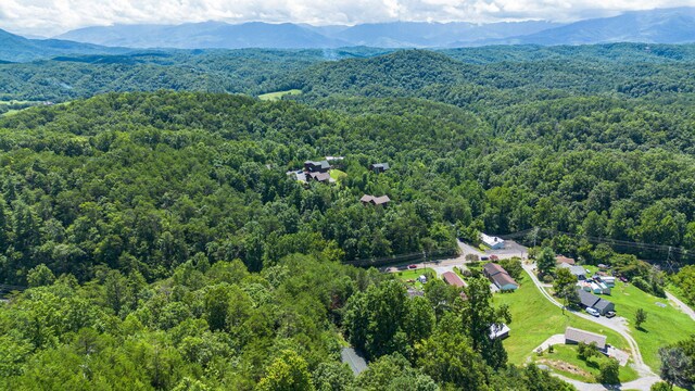1430 Am King Way, Sevierville, TN 37876 - photo 27