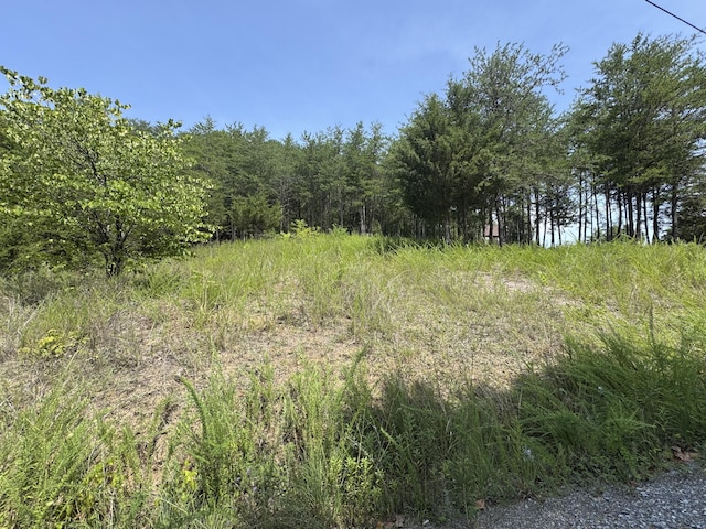 LOT1 Skyview Way, Dandridge, TN 37725 - photo 2