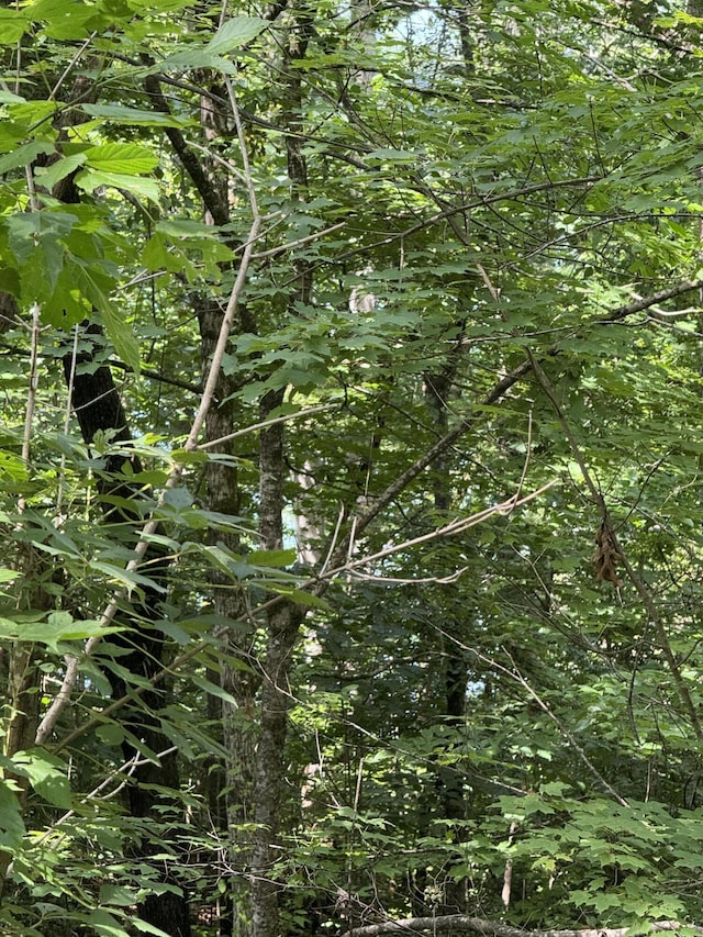 LOT1 Skyview Way, Dandridge, TN 37725 - photo 6