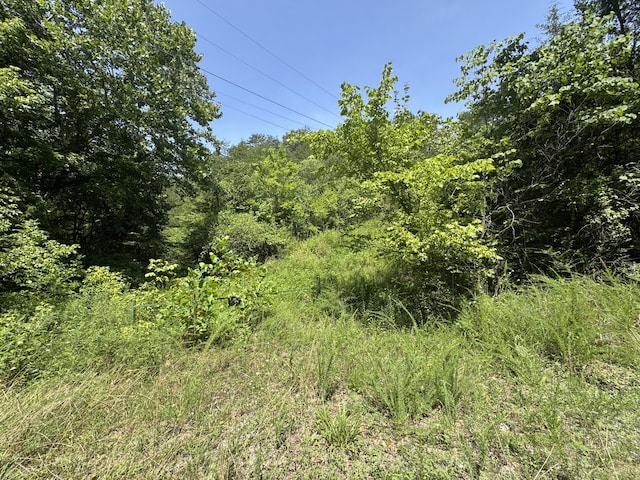 LOT1 Skyview Way, Dandridge, TN 37725 - photo 4