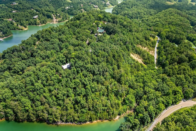 LOT1 Skyview Way, Dandridge, TN 37725 - photo 1