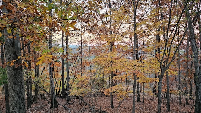 484 Buttermilk Rd, Blountville, TN 37617 - view of woods
