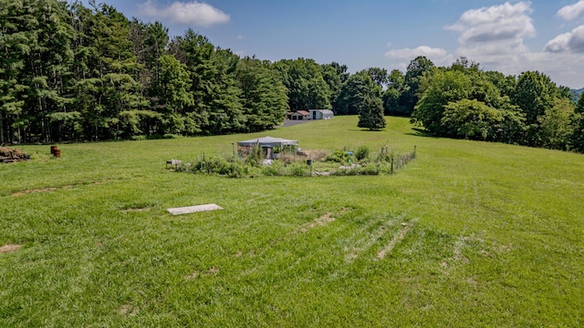 484 Buttermilk Rd, Blountville, TN 37617 - view of green lawn featuring a view of rural / pastoral area