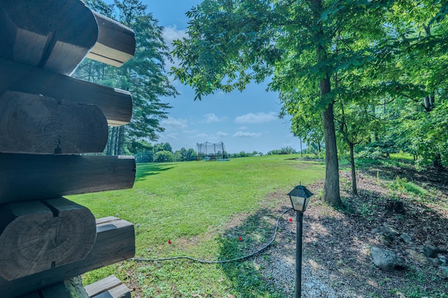 484 Buttermilk Rd, Blountville, TN 37617 - view of green lawn