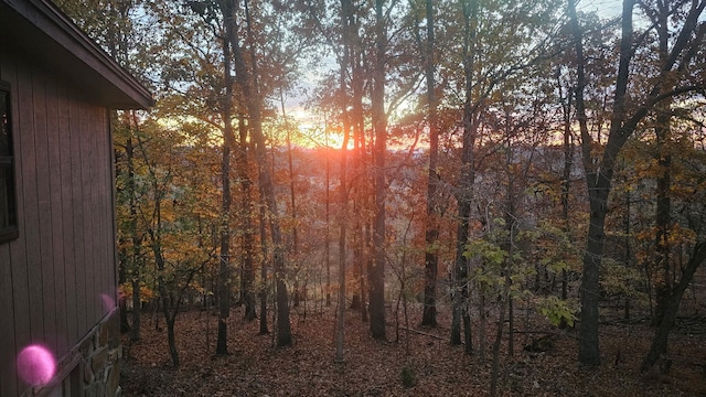 484 Buttermilk Rd, Blountville, TN 37617 - view of woods