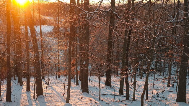 484 Buttermilk Rd, Blountville, TN 37617 - view of snow covered land
