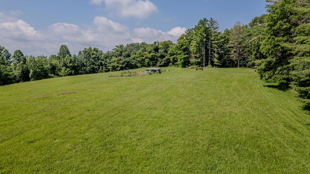 484 Buttermilk Rd, Blountville, TN 37617 - view of grassy yard featuring a view of rural / pastoral area