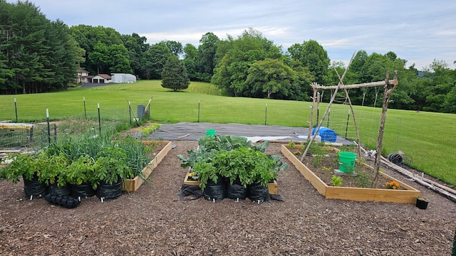 484 Buttermilk Rd, Blountville, TN 37617 - view of yard featuring a garden