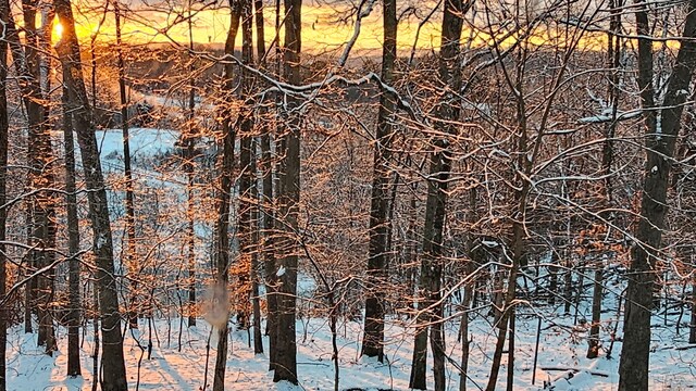 484 Buttermilk Rd, Blountville, TN 37617 - view of undeveloped land