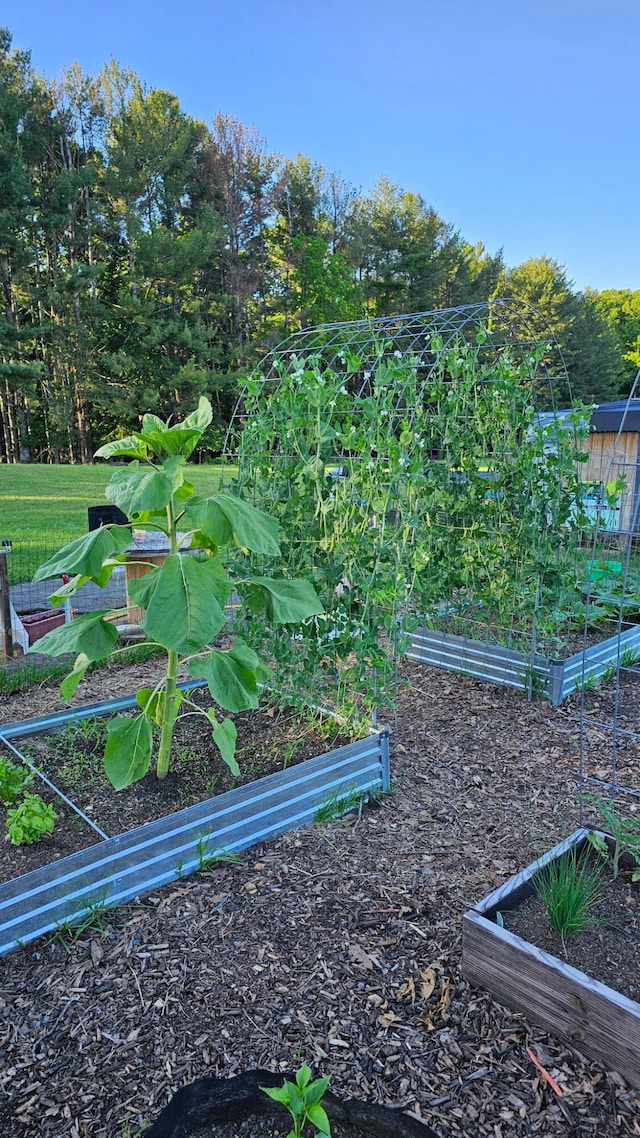 484 Buttermilk Rd, Blountville, TN 37617 - exterior view of a garden