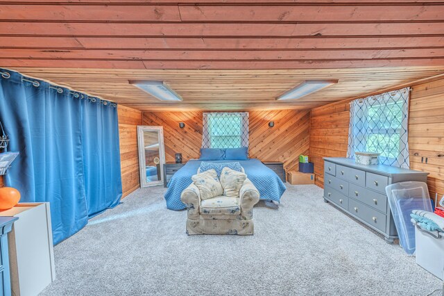 484 Buttermilk Rd, Blountville, TN 37617 - carpeted bedroom featuring wood walls and wood ceiling