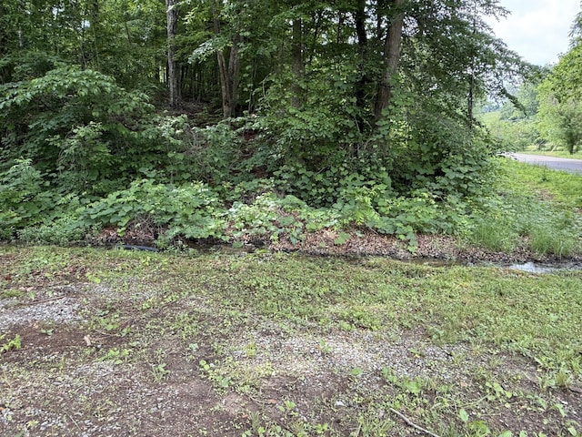 2466 Kidwell Ridge Rd, Morristown, TN 37814 - view of yard