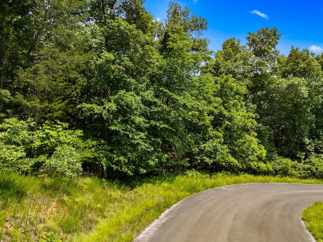 LOT117 Last Chance Rd, Dandridge, TN 37725 - photo 3