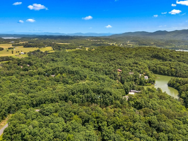 LOT117 Last Chance Rd, Dandridge, TN 37725 - photo 6