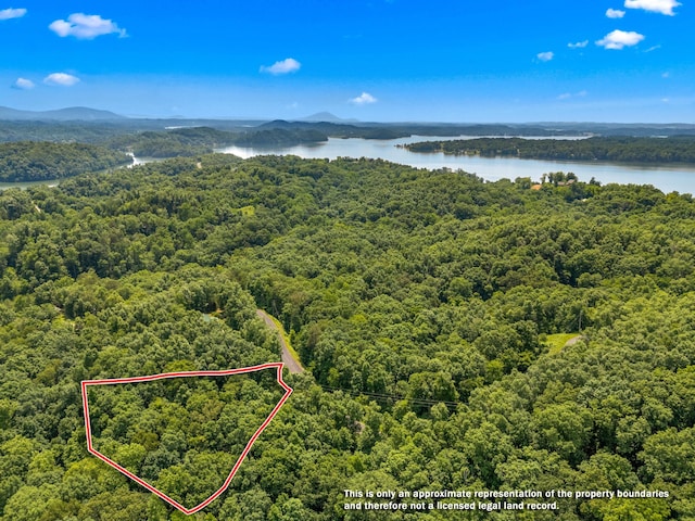 LOT117 Last Chance Rd, Dandridge, TN 37725 - photo 1