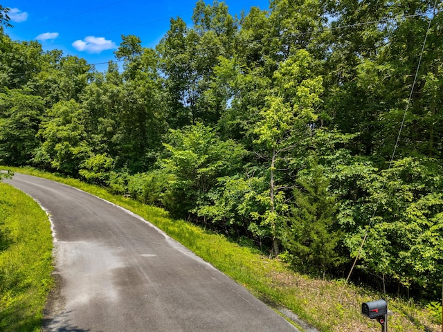 LOT117 Last Chance Rd, Dandridge, TN 37725 - photo 2