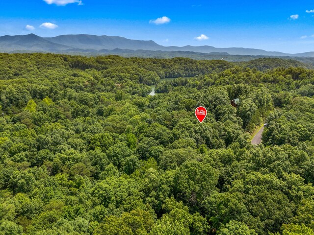 LOT117 Last Chance Rd, Dandridge, TN 37725 - photo 5