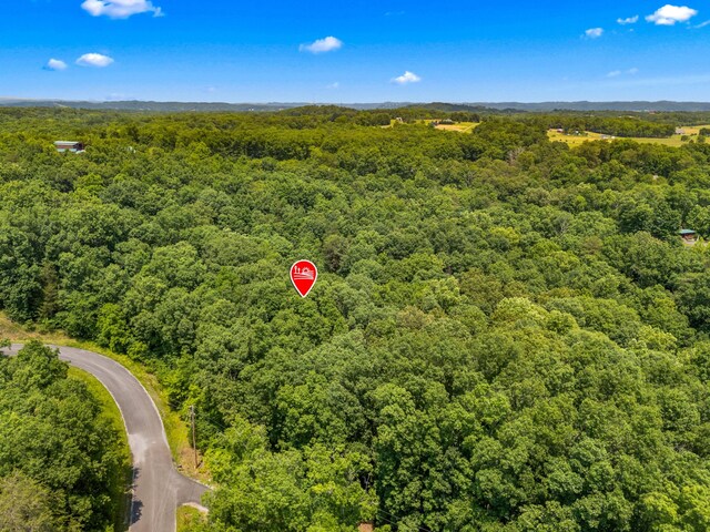 LOT117 Last Chance Rd, Dandridge, TN 37725 - photo 4