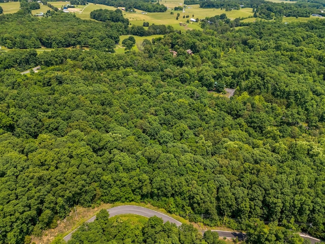LOT117 Last Chance Rd, Dandridge, TN 37725 - photo 8