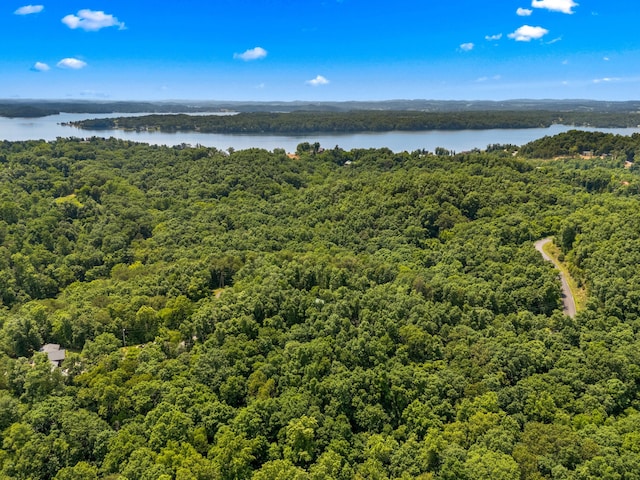 LOT117 Last Chance Rd, Dandridge, TN 37725 - photo 7