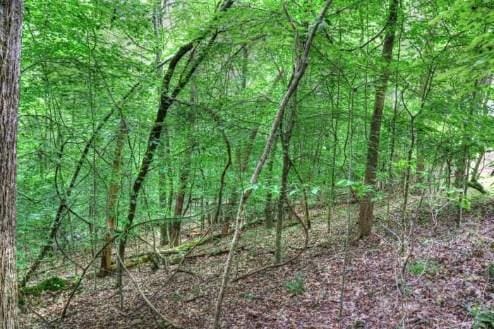 LOT70 Grandpas Rdg, Sharps Chapel, TN 37866