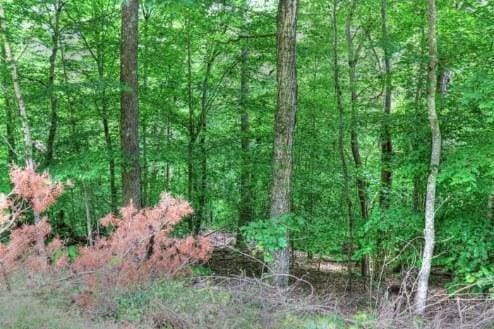 LOT70 Grandpas Rdg, Sharps Chapel, TN 37866