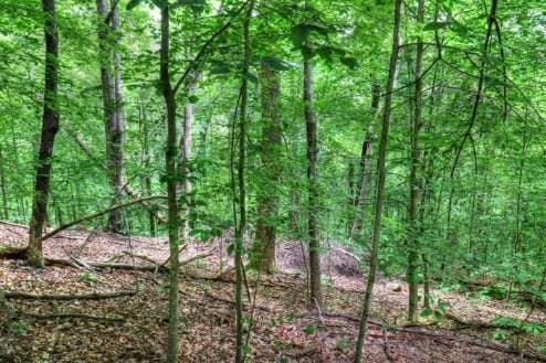 LOT70 Grandpas Rdg, Sharps Chapel, TN 37866