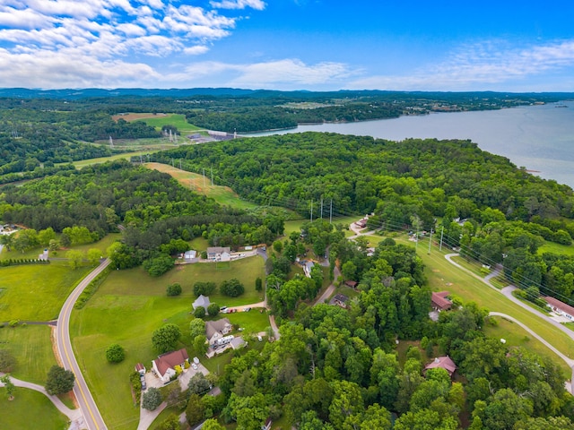 1549 Park Ln, Sevierville, TN 37876 - photo 33
