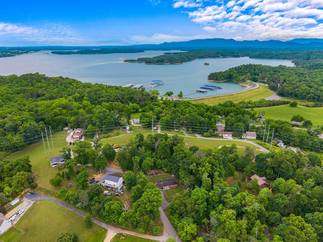 1549 Park Ln, Sevierville, TN 37876 - photo 32