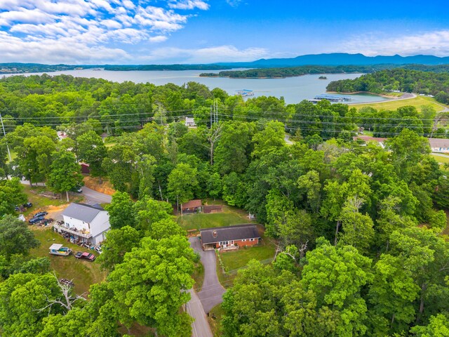 1549 Park Ln, Sevierville, TN 37876 - photo 31