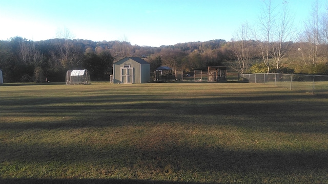 view of yard with a storage shed