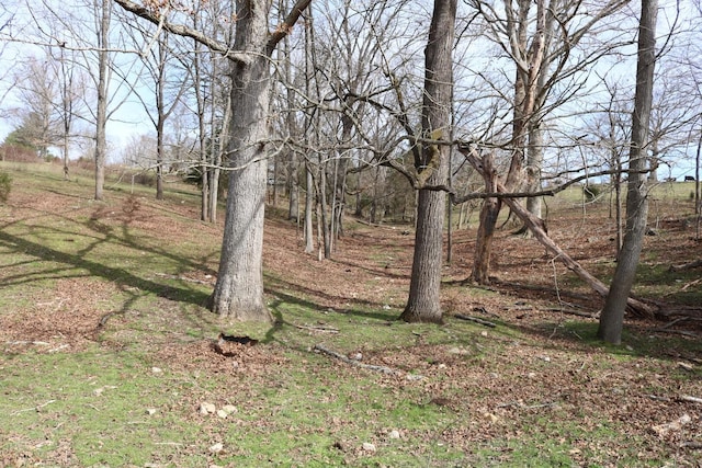 875 Pates Hill Rd, Mosheim, TN 37818 - photo 29