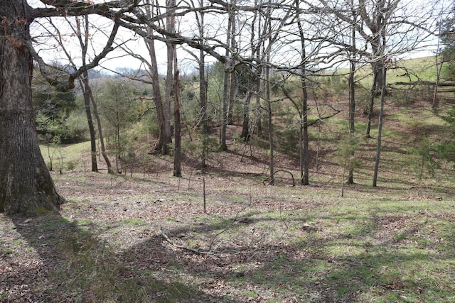 875 Pates Hill Rd, Mosheim, TN 37818 - photo 28