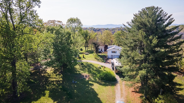 875 Pates Hill Rd, Mosheim, TN 37818 - photo 61